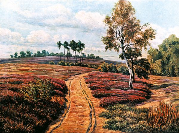 "Märkische Heide"