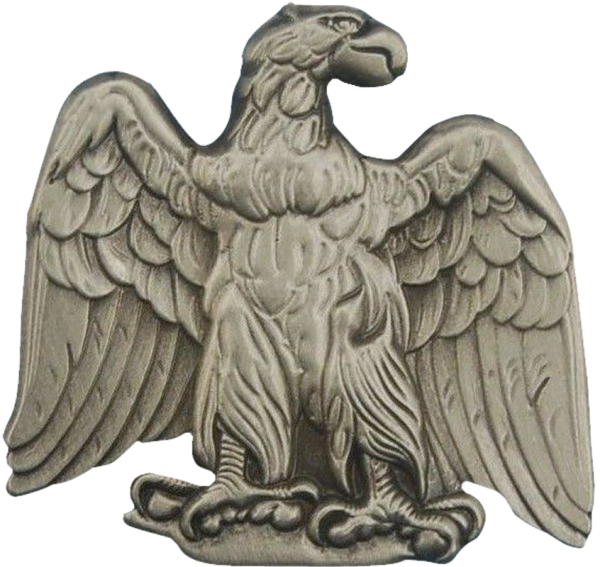 Erhabener Adler