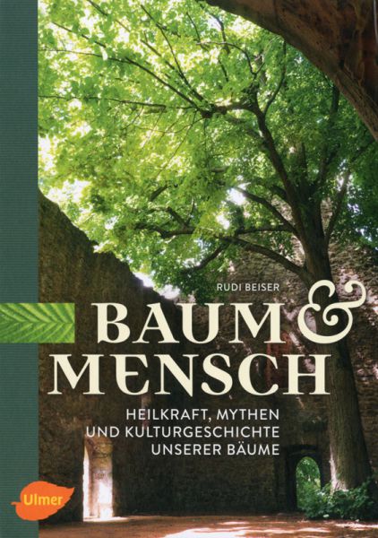 Baum & Mensch